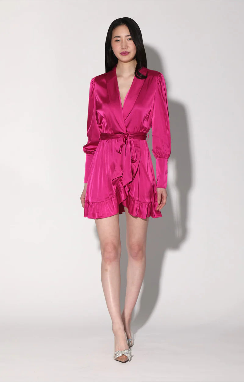 Walter Baker Myra Dress, Deep Pink - clever alice