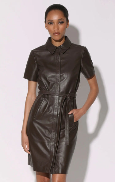 Walter Baker Chloe Leather Dress in Black or Brown